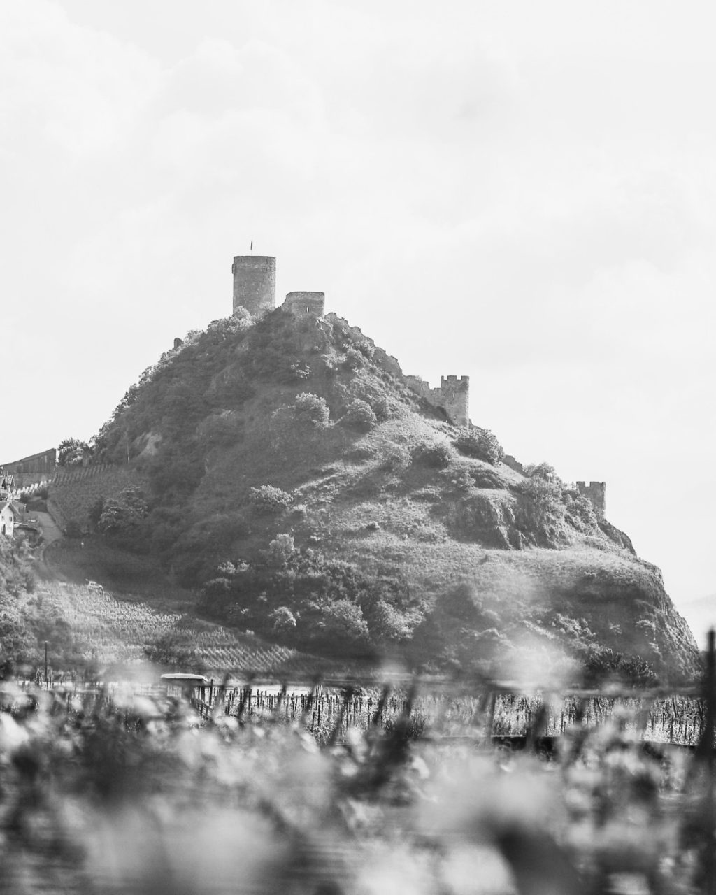 Jour de deuil national 🕊️

Le Marathon des terroirs du Valais BCVS s’associe au recueillement suite au drame survenu à Crans-Montana.
Nos pensées vont aux victimes, à leurs proches et à toutes les personnes touchées.