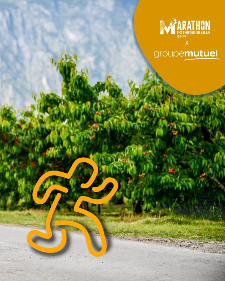MTVS x Groupe Mutuel : Ensemble pour le plaisir de courir 🏃♂️🏃♀️
Le Groupe Mutuel, Main Partenaire du Marathon des terroirs du Valais BCVS, s’engage à nos côtés pour promouvoir la course à pied, la santé et le plaisir du mouvement.
À travers leur blog, le Groupe Mutuel partage conseils, astuces et inspirations pour garder la motivation et courir avec le sourire, que vous soyez en préparation ou en pleine reprise. ✨
Merci au Groupe Mutuel pour son précieux soutien à cet événement qui mêle sport, terroir et convivialité !
🔗 Découvrez leurs conseils directement sur leur site internet.
#MarathondesterroirsduValaisBCVS #GroupeMutuel #MTVS2025 #course #santé